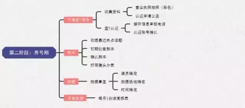 抖音推广运营并不难,一张思维导图看懂