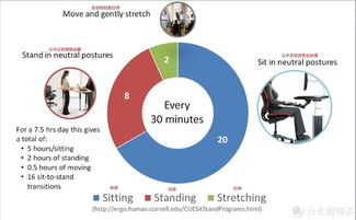 坐着就能纠正姿态解决久坐问题,更科学的达宝利人体工学 马鞍椅 升降桌组合
