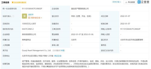 出钱投资占股份不参与管理叫什么