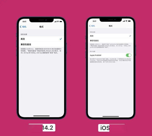 iPhone 12上拍摄 ProRAW 格式照片什么不同