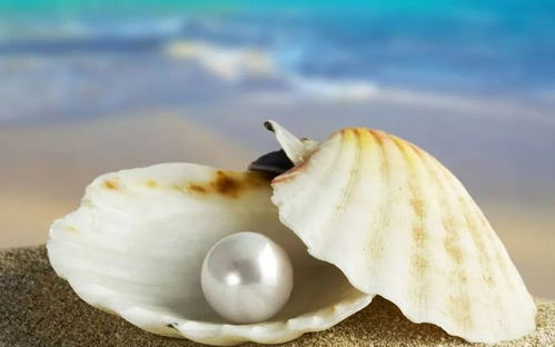 你知道珍珠是怎么长出来的吗