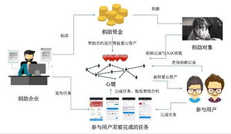 BCHC上公链流程详解