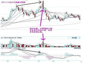 海豚股票K线风云榜是投股吗？