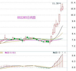 国美在香港是不是有两支股票？