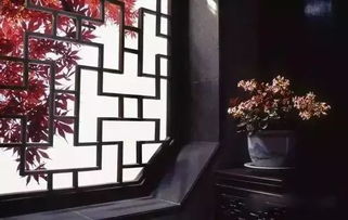 欣赏 中国古窗,格出一墙烂漫,蕴就诗和远方