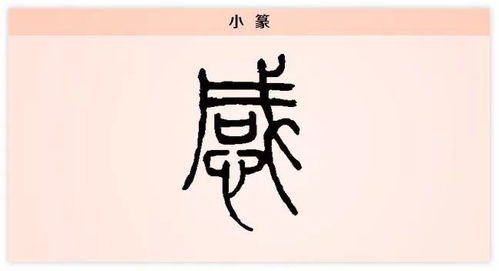 感 人生有情感,遇物牵所思 每日一字