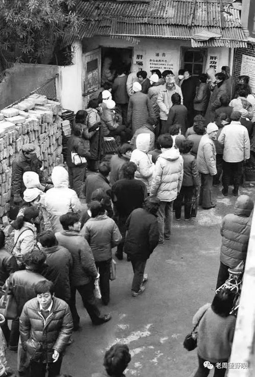 1988 上海 甲肝,1983年上海甲肝爆发