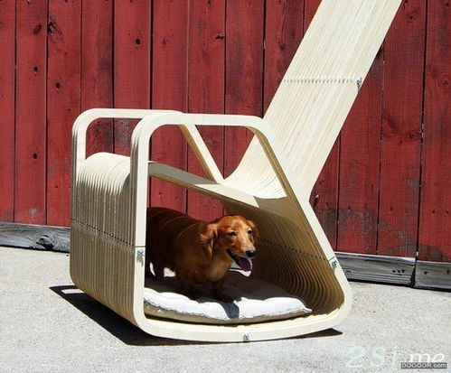 仓艺家居 你和宠物共享的木质摇椅