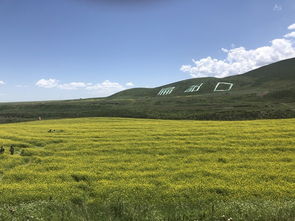 夏天去西北旅游(西北旅游最佳季节西北旅游什么时候去最好)