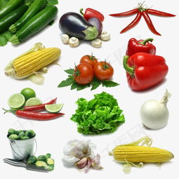 手绘3d3d图标 清新蔬菜素材图片免费下载 高清装饰图案png 千库网 图片编号43799 