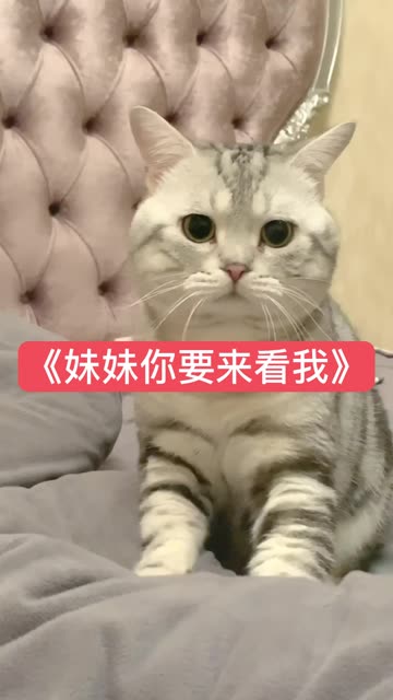 快手直播 