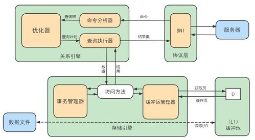 代码查重原理及应用：提升代码质量的关键