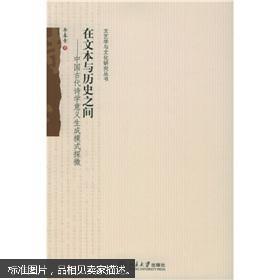 在文本与历史之间 中国古代诗学意义生成模式探微 文艺学与文化研究丛书