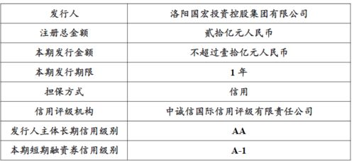 投资者代公司偿还债款 作为追加投资 资产是否变化