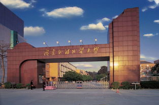 广东外语外贸大学自考报名,广东外语外贸大学自考本科怎样报名(图2)