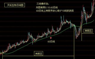 怎样才能战胜股市