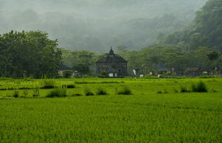 唐登庐山的意义，探寻历史文化的精神家园，登庐山唐寅