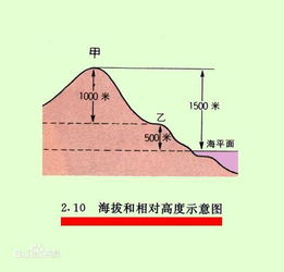 什么是海拔 