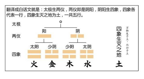 漫画算命系列之 阴阳五行 