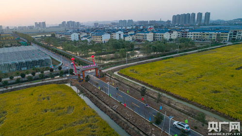 江西瑞昌 四好农村路 铺设乡村振兴路