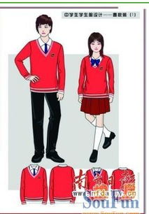深圳市第二实验高中的校服是什么样子的 
