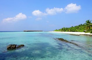 马尔代夫顶级的岛有哪些（马尔代夫排名前十的岛）