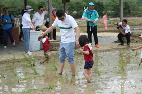 活动回顾 4.24蓓蕾天鹅湖幼儿园亲子春游,挖马蹄 彩虹滑梯 欢乐打地鼠 水上溜索 插秧 水上皮划艇