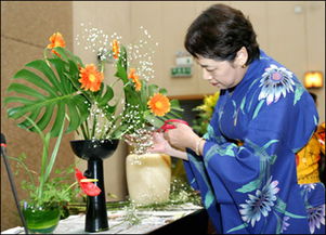 之三：日本花道最早来源于中国隋朝的佛堂供花，传到日本后，其天...