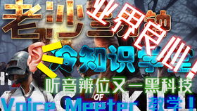 H1z1教学老沙冷知识课堂 voicemeeter听音辨位黑科技教学