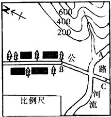 地球自转的方向是 A.自西向东B.自东向西C.顺时针方向D.逆时针方向 青夏教育精英家教网 