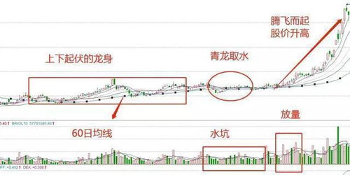 股价回调5个点怎么算