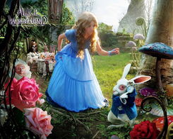 爱丽丝 一个名叫爱丽丝的女孩从兔子洞进入一处神奇国度,遇到许多会讲话的生物以及像人一般活动的纸牌,最后发现原来是一场梦 