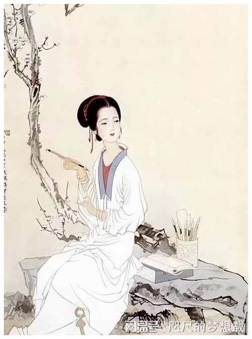 环肥燕瘦,中国历史上的美人观