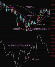 600489，002069那个好，买进做长线的