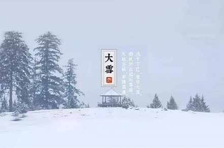 2020年大雪节气出生的男孩五行缺金取名大全