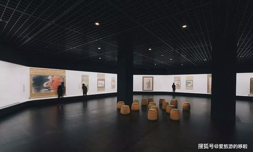 在博物馆或者美术展里怎么显得自己内行(博物馆展厅展示方式)