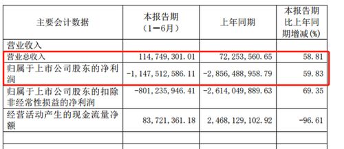 公司所有者权益亏损数字为负数，现在税务局要求写说明，怎么写啊？急。。。。。。。