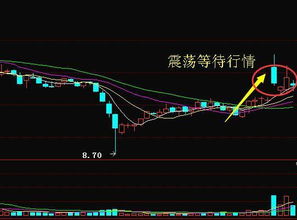 上海自贸区成立时龙头股翻了多少倍