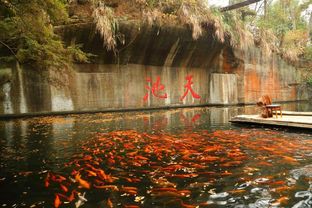 浙江杭州天池岛