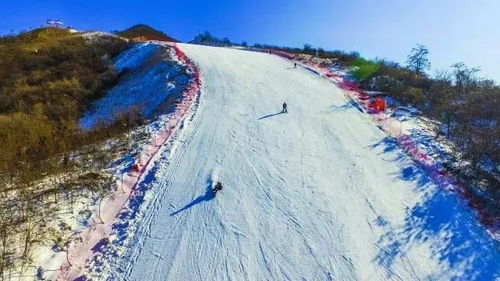 1月19号 周五 丨照金国际滑雪场丨不限时滑雪约起来 