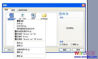 Word常见问题 Word2003文档打不开怎么办 1分钟帮你解决 