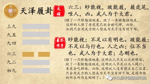 实效国学解读 易经 第10卦 天泽履卦