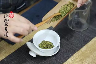 绿茶的四个冲泡技巧及两种方法 