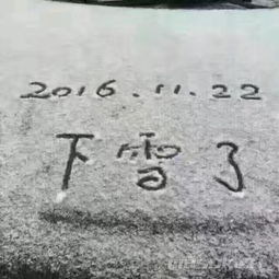 关于_2016年雪的微信诗句