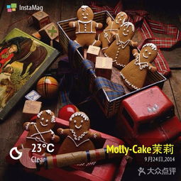 Molly茉莉 创意空间