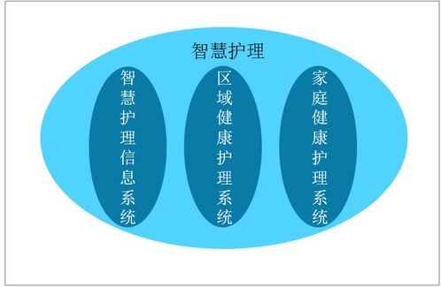 2021 2027年中国智慧护理产业发展动态及投资决策建议报告