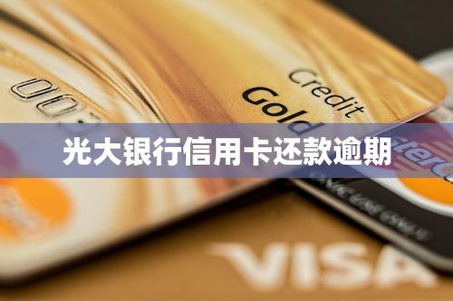 光大信用卡刷外币怎么还款,光大银行信用卡还款