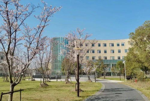 上海高校排名发布 上海科技大学 逆袭 至第5,有望入选双一流