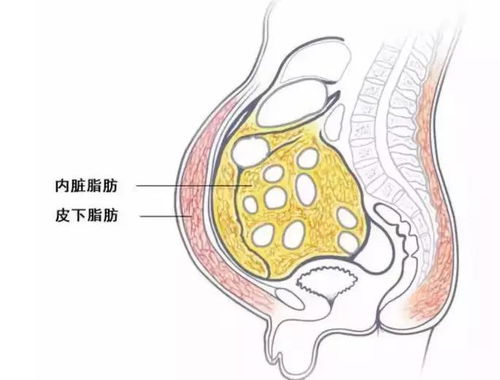 刘涛大胆说出自己120斤,自信就在于依旧秒杀90斤小花,体态管理太重要