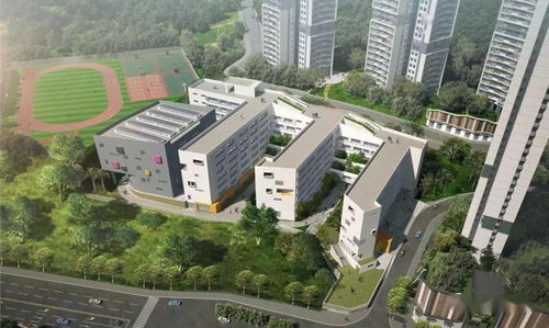龙岗今年将新 改扩建8所学校,其中一所是深圳面积最大高中
